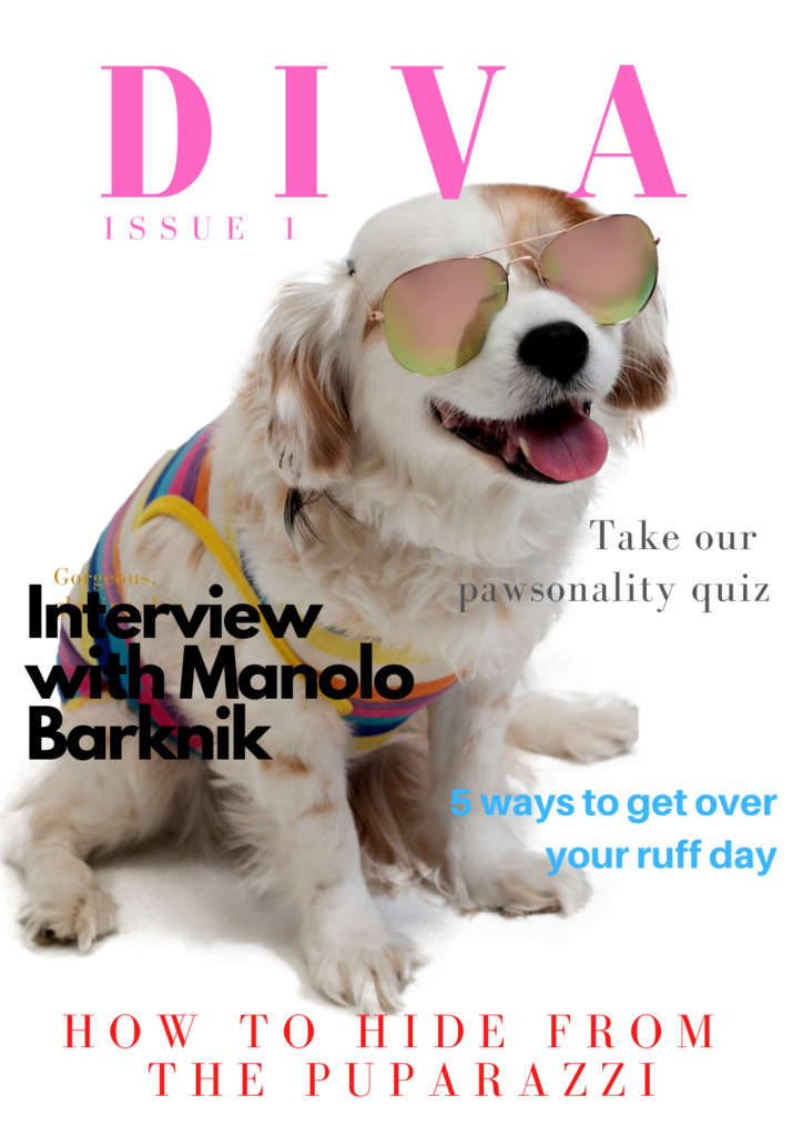 Custom Dog Magazine Covers Digital 3 Spoilt Dogs