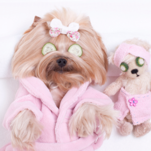 15-Minute Doggy Massage