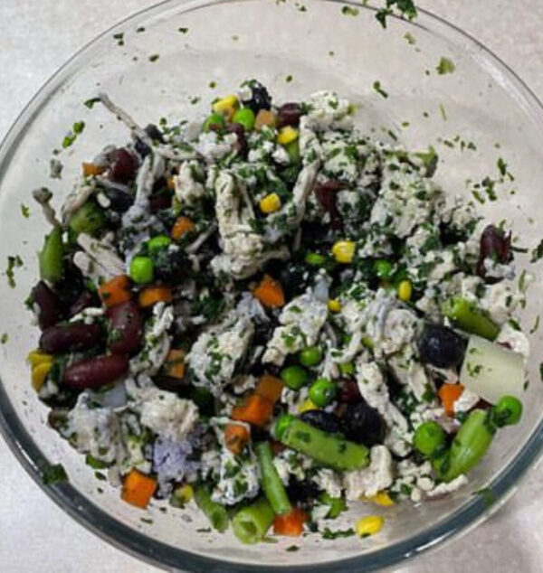 Freshly Cooked Organic Food Mix