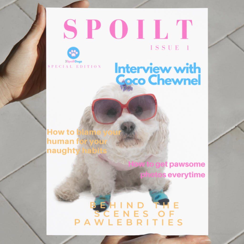 Custom Dog Magazine Covers Digital 3 Spoilt Dogs