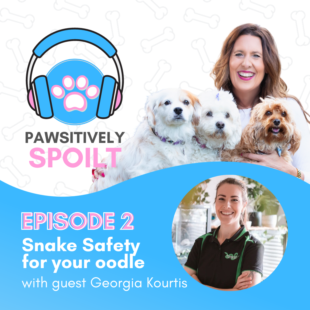 Pawsitively Spoilt Episode Ep2