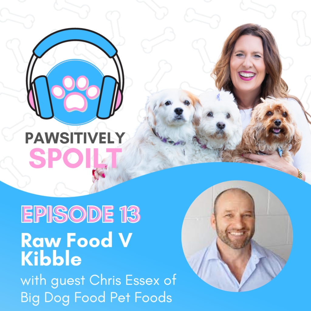 Pawsitively Spoilt Podcast S1EP13 Raw food V Kibble What is best for