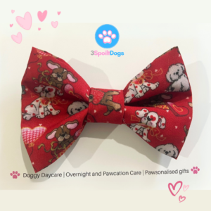 Valentines Dog Bow