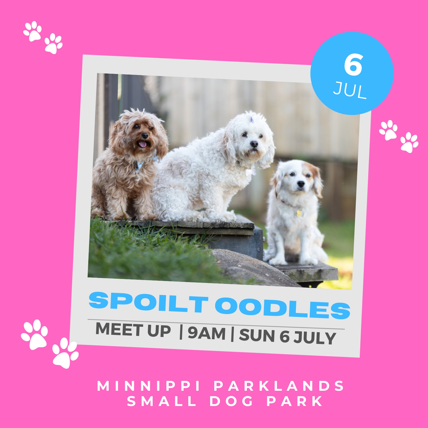 Next Oodle Meet Up
