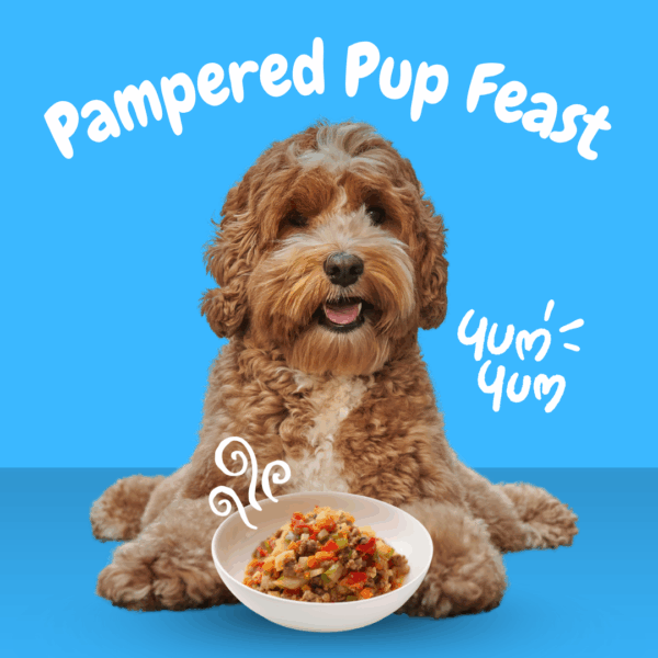 Pampered Pup Feast