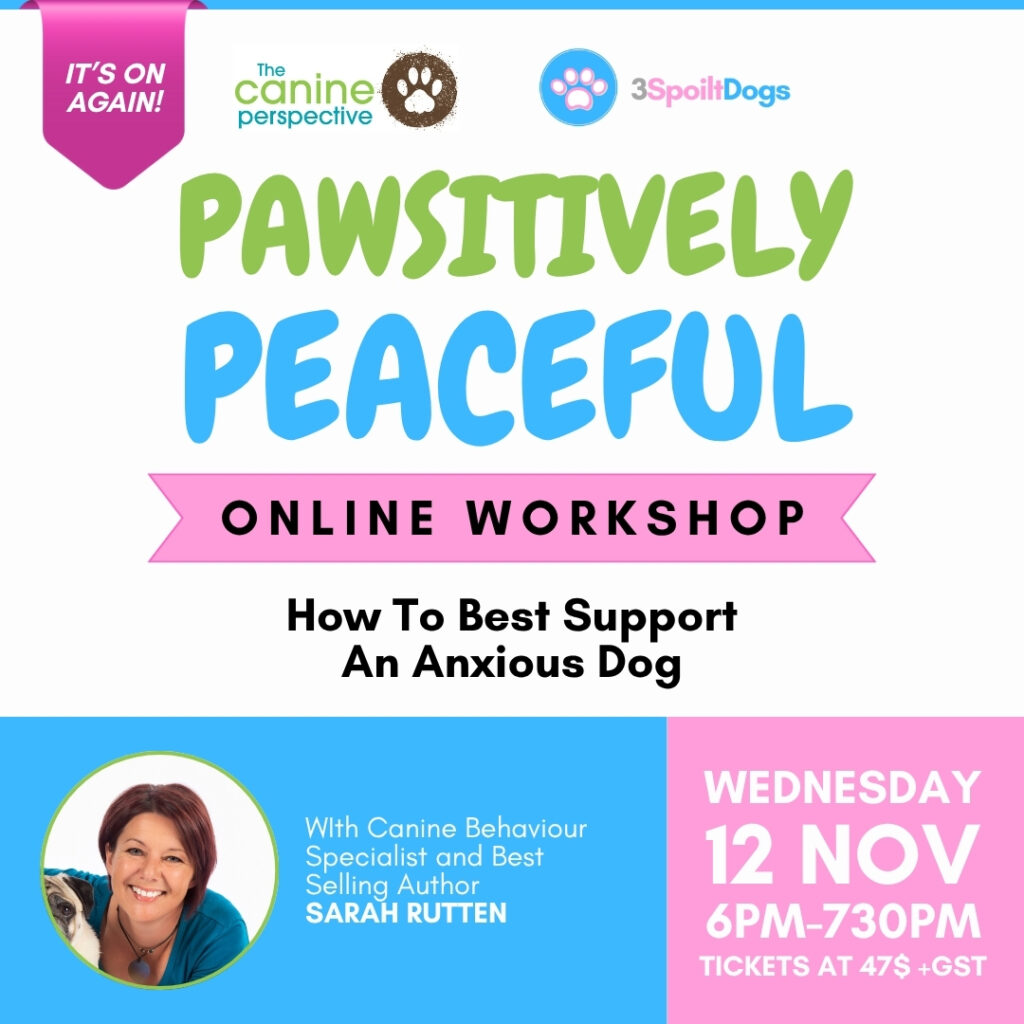 Pawsitively Peaceful Workshop