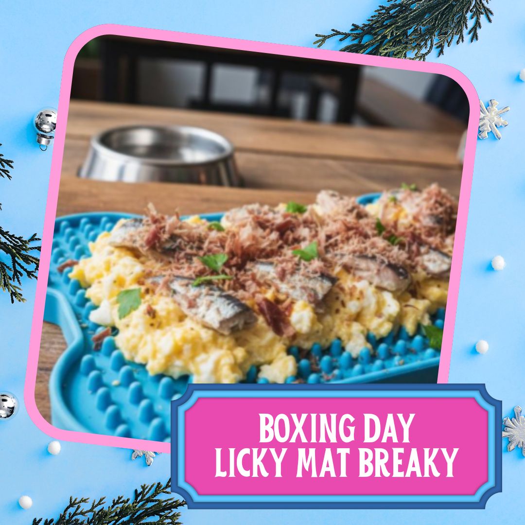 Santa Paws Pawcation Pack - Image 3