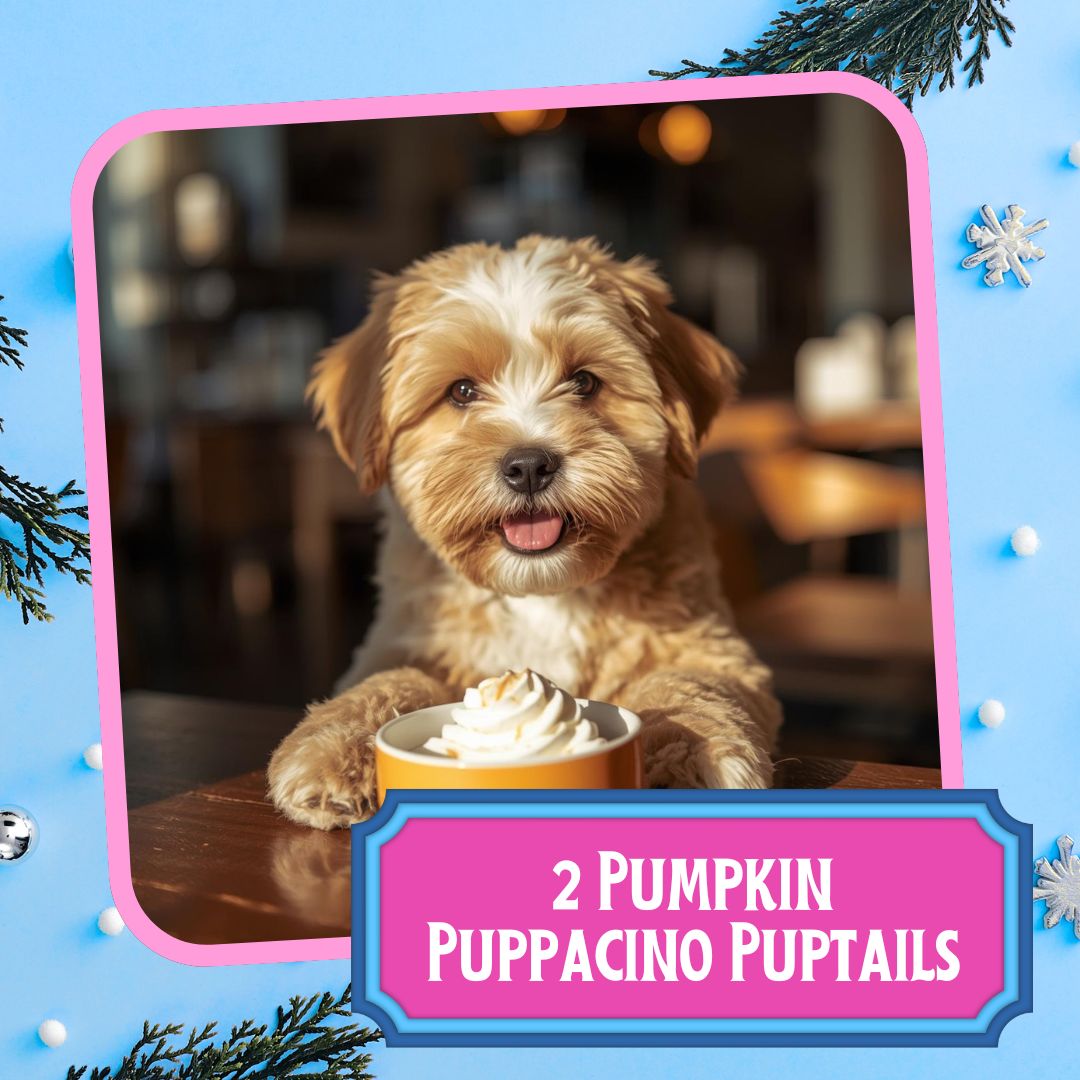 Santa Paws Pawcation Pack - Image 4