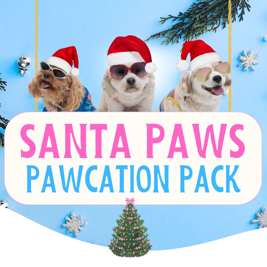 Santa Paws Pawcation Pack