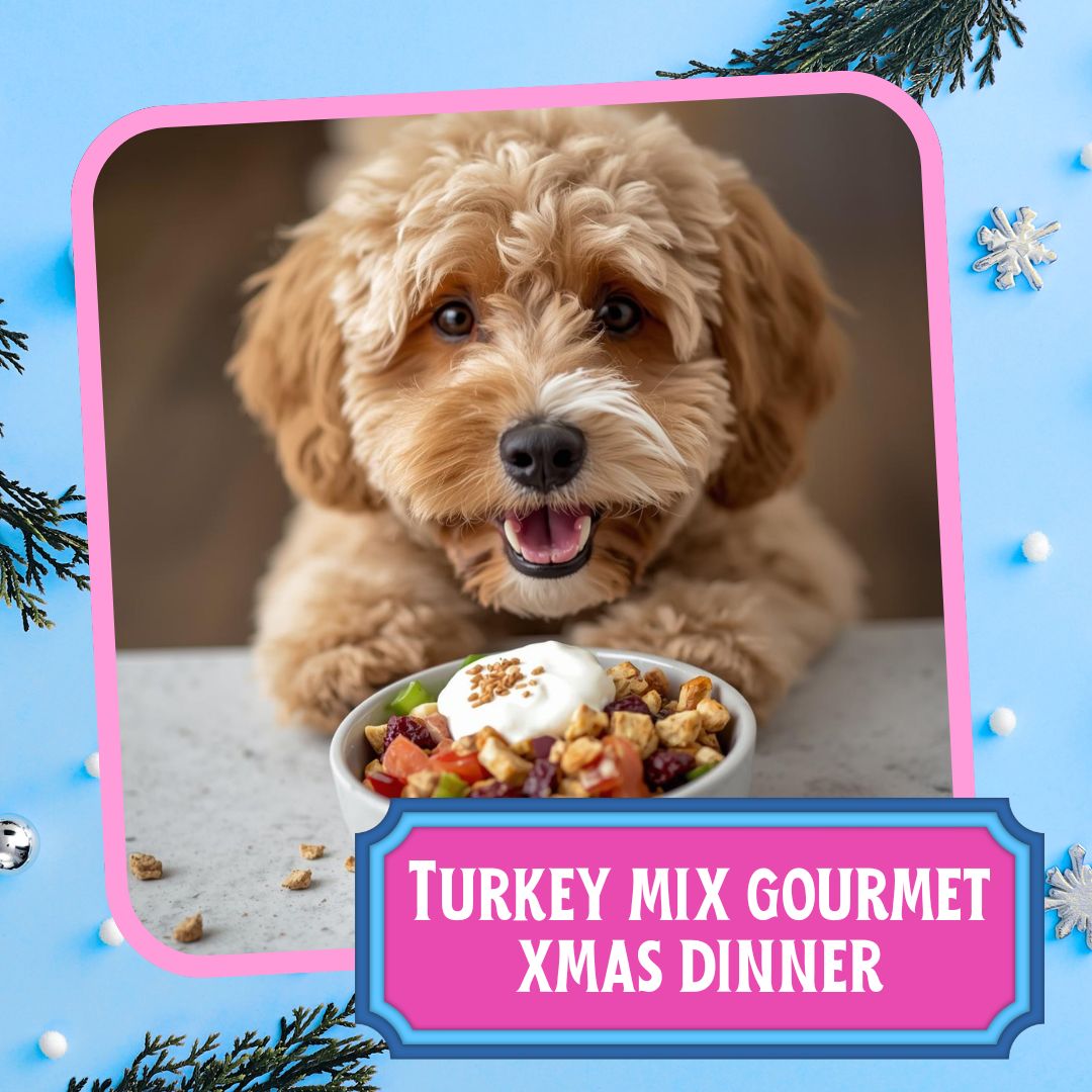 Santa Paws Pawcation Pack - Image 2