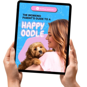 The Working Parent's Guide To A Happy Oodle