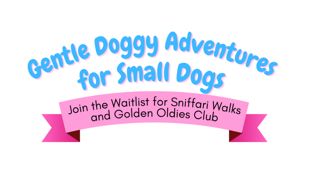 Gentle Doggy Adventures for Small Dogs