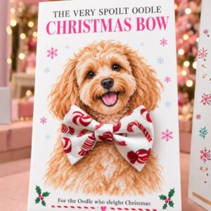 Limited Edition Xmas Oodle Bow tie