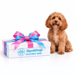 Spoilt Dog Mystery Box