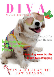 Custom Dog Magazine Xmas Covers - Digital Print